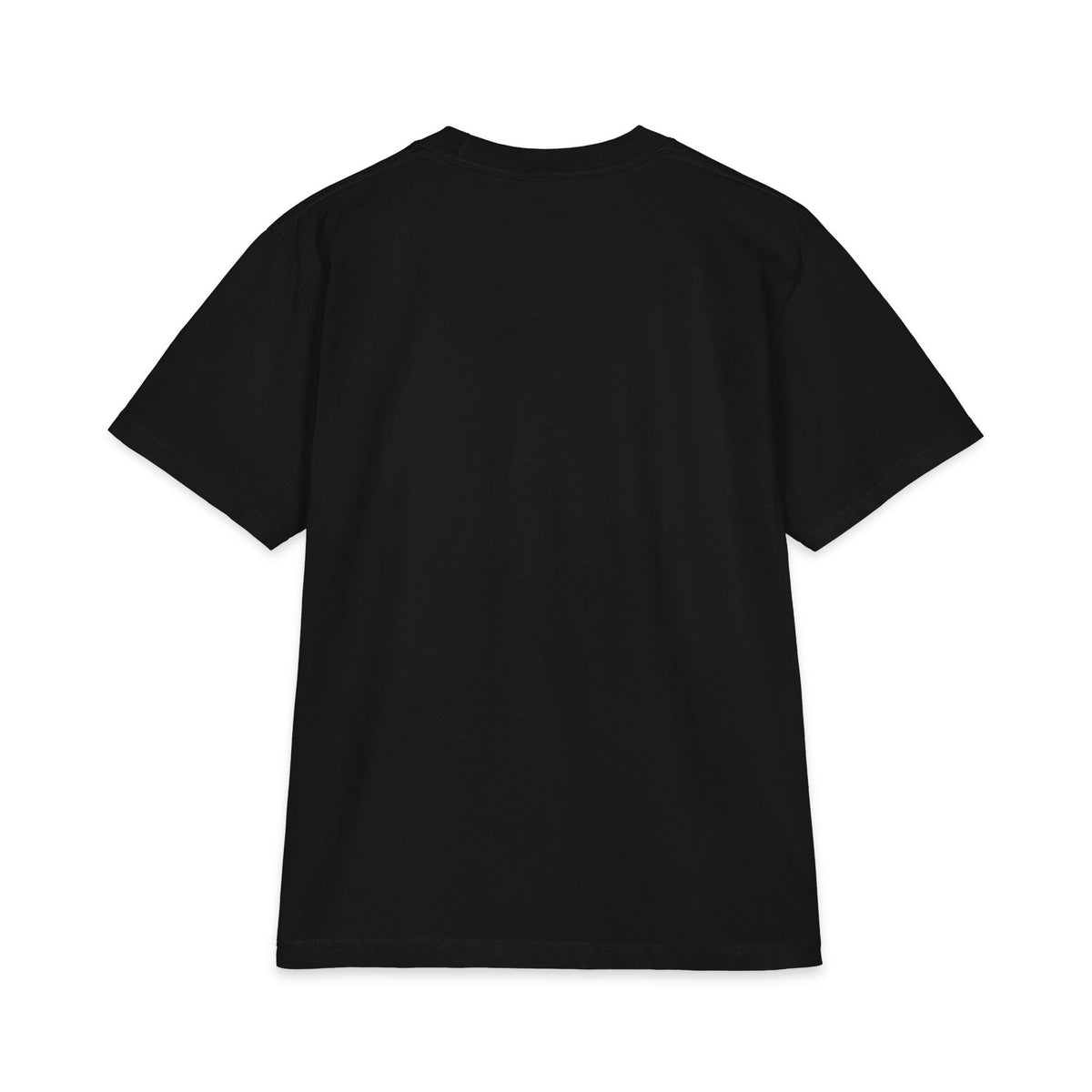 Soulfeggio Scientific Logo T-Shirt — Healing Frequency Graphic Tee