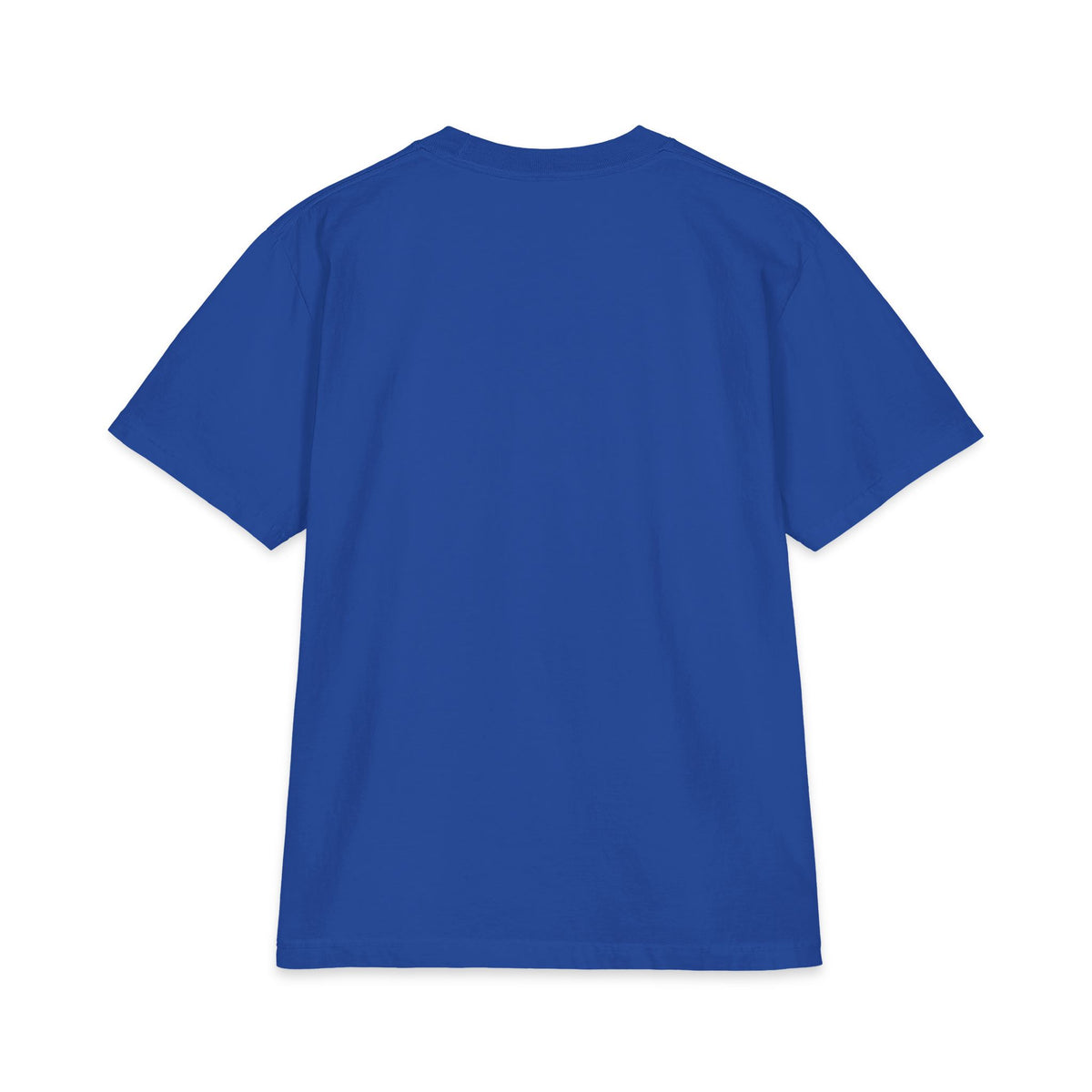 Soulfeggio Scientific Logo T-Shirt — Healing Frequency Graphic Tee