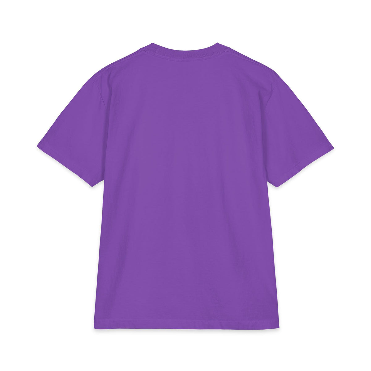 Soulfeggio Scientific Logo T-Shirt — Healing Frequency Graphic Tee